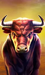 Black Bull