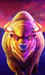 Buffalo King Megaways